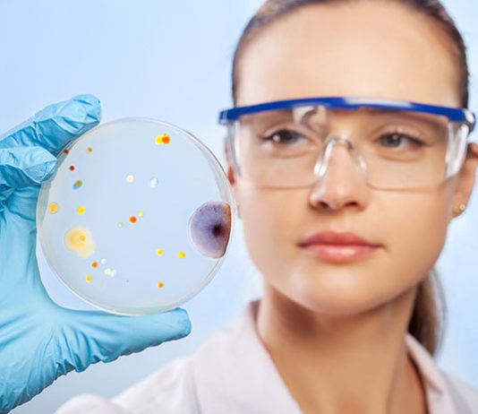 Kiedy kobieta może oddać komórkę jajową Kiedy kobieta może oddać komórkę jajową