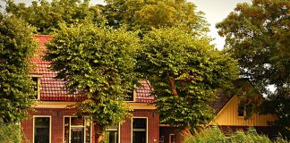 Świadectwo energetyczne