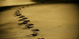 Podróże last minute