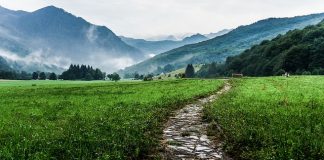 Fascynacja dalekich podróży – pobyt Fascynacja dalekich podróży – pobyt