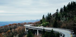 Nietypowe atrakcje Zalewu Wiślanego