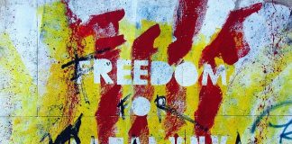 Czy każdego z nas interesuje polityka? Czy każdego z nas interesuje polityka?