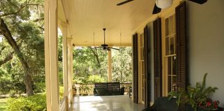 Jak poradzić sobie ze szkodnikami w domu?