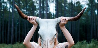 Artykuły szkolne online