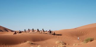 Rozwój turystyki w naszym kraju Rozwój turystyki w naszym kraju