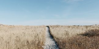 Największe, nowoczesne miasto Australii