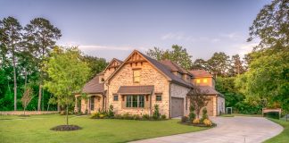 Trawnik w rolce Trawnik w rolce