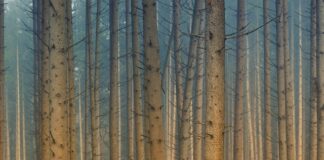 Jakie kąpielówki do aquaparku? Jakie kąpielówki do aquaparku?