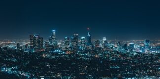 Co to za firma polo? Co to za firma polo?