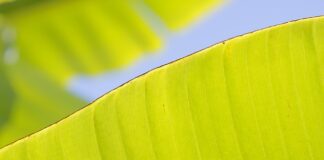 Co zamiast stanika do sukienki?