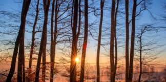 Jak dbać o kąpielówki? Jak dbać o kąpielówki?