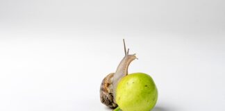 Czy wiskoza jest dobrym materiałem? Czy wiskoza jest dobrym materiałem?