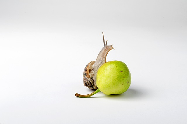 Czy wiskoza jest dobrym materiałem? Czy wiskoza jest dobrym materiałem?