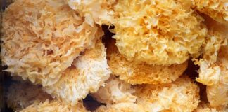 Jak nie zgubić kolczyków? Jak nie zgubić kolczyków?