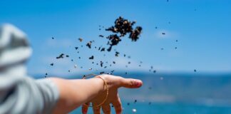 Co zamiast rzucania bukietem? Co zamiast rzucania bukietem?