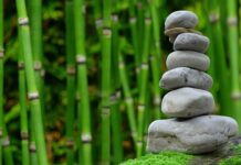 Czy bambus jest lepszy od bawełny?