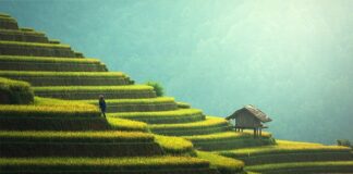 Jak się przebrać na bal przebierańców? Jak się przebrać na bal przebierańców?