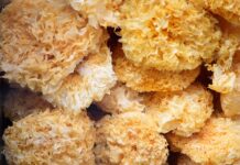 Ile kolczyków można zrobić na raz? Ile kolczyków można zrobić na raz?