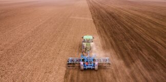 Ile za godzinę sprzątania 2023? Ile za godzinę sprzątania 2023?