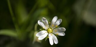 Co jest większe A6 czy B6?