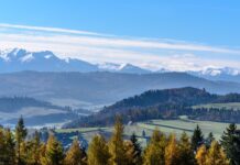Jak mówią górale na pieniądze? Jak mówią górale na pieniądze?
