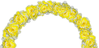 Jakie nakrycie głowy do okrągłej twarzy?