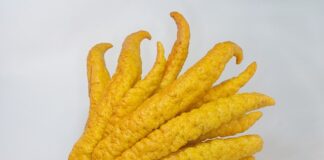 Ile warte są cyrkonie? Ile warte są cyrkonie?