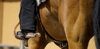 Do czego zakładać koszulę? Do czego zakładać koszulę?