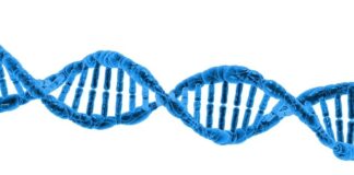 Ile kosztuje zrobienie helix? Ile kosztuje zrobienie helix?