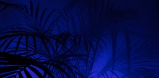 Co oznacza XP na kolczykach? Co oznacza XP na kolczykach?