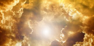 Jaki to kształt twarzy?