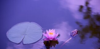 Jak wyglądać elegancko latem? Jak wyglądać elegancko latem?