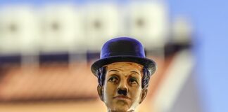 Jak wygląda melonik? Jak wygląda melonik?