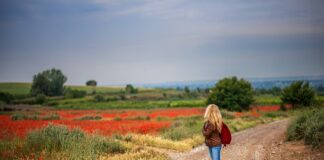 Czy chodzenie bez skarpetek jest zdrowe? Czy chodzenie bez skarpetek jest zdrowe?