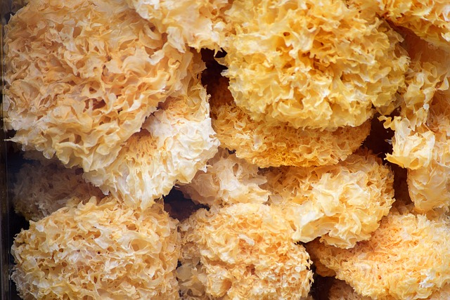 Czy do długich kolczyków pasuje naszyjnik? Czy do długich kolczyków pasuje naszyjnik?