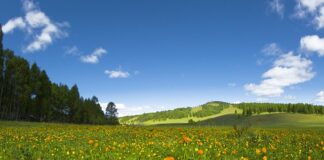 Jaki kapelusz nosił Bogart? Jaki kapelusz nosił Bogart?