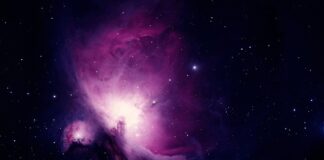 Czy czarną koszula pasuje do niebieskich jeansów? Czy czarną koszula pasuje do niebieskich jeansów?