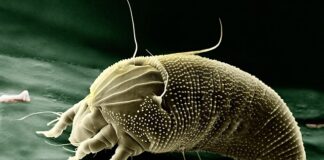 Jakie są przeciwwskazania do powiększenia ust? Jakie są przeciwwskazania do powiększenia ust?