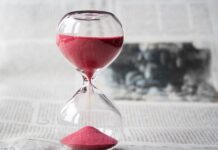 Jaki jest czas na zarejestrowanie prosiąt? Jaki jest czas na zarejestrowanie prosiąt?