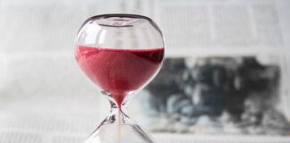 Jaki jest czas na zarejestrowanie prosiąt?