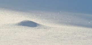 Jak przywrócić sweter by był puszysty? Jak przywrócić sweter by był puszysty?