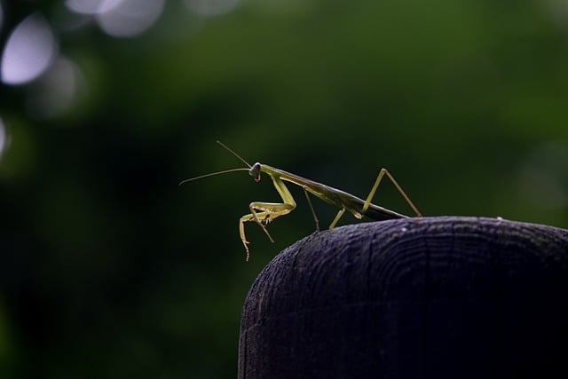 Co jest większe A4 czy A5? Co jest większe A4 czy A5?