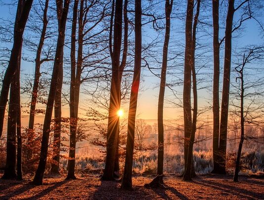 Czy można chodzić w kąpielówkach? Czy można chodzić w kąpielówkach?
