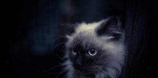 Jak dobrze wyglądać na wakacjach?