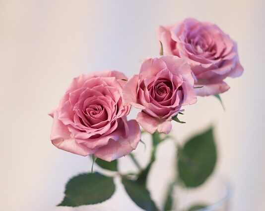 Ile dać do koperty na 80 urodziny? Ile dać do koperty na 80 urodziny?