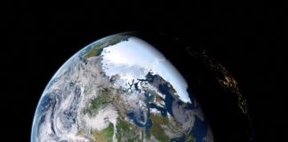 Co pasuje do czarnej koszuli damskiej? Co pasuje do czarnej koszuli damskiej?