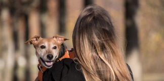 Do czego służy Uprząż damska?