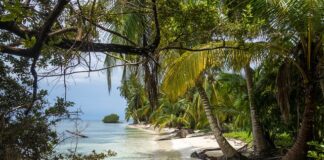 Z czego znana jest Panama? Z czego znana jest Panama?