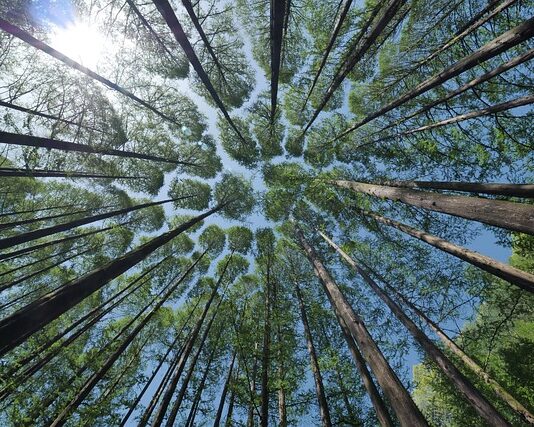 Jak skutecznie wygiąć daszek w czapce? Jak skutecznie wygiąć daszek w czapce?