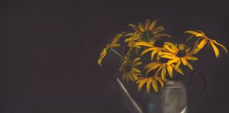 Jak pozbyć się potu z czapki? Jak pozbyć się potu z czapki?